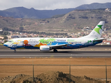 Binter Canarias Boeing 737-4Q8 (EC-INQ) at  Tenerife Norte - Los Rodeos, Spain