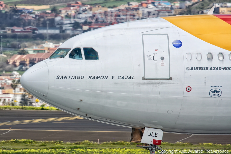 Iberia Airbus A340-642 (EC-JLE) | Photo 293247