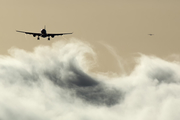 Air Europa Airbus A330-202 (EC-JQQ) at  Tenerife Norte - Los Rodeos, Spain