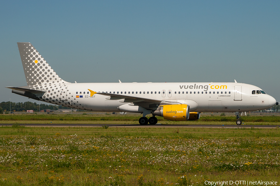 Vueling Airbus A320-214 (EC-JSY) | Photo 203097
