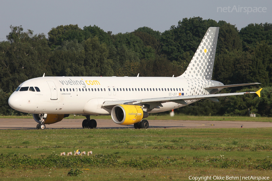 Vueling Airbus A320-214 (EC-JSY) | Photo 52999