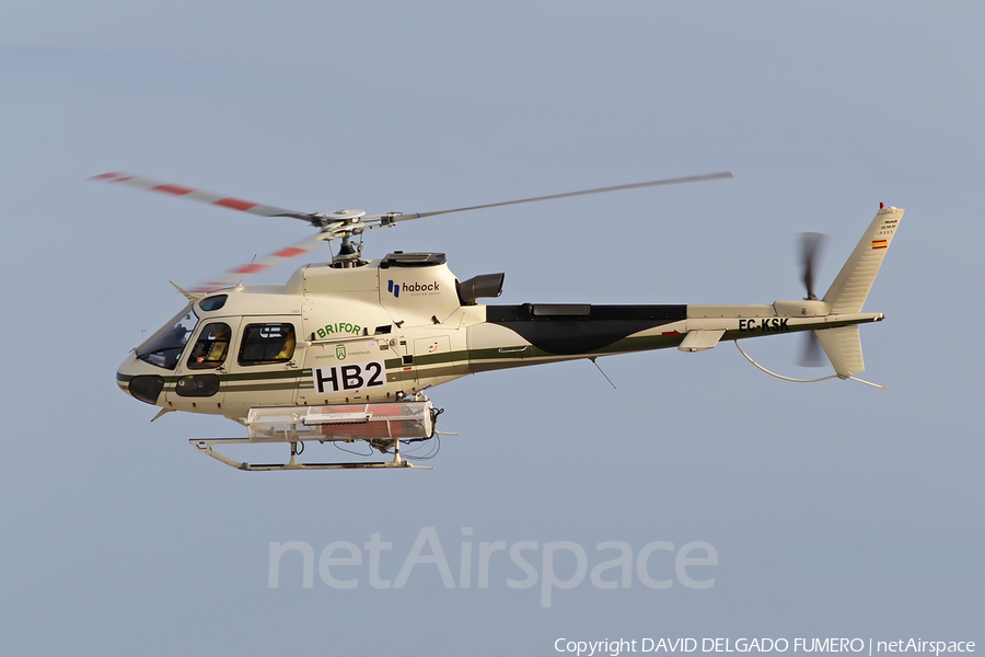 Habock Aviation Group Eurocopter AS350B3 Ecureuil (EC-KSK) | Photo 264485