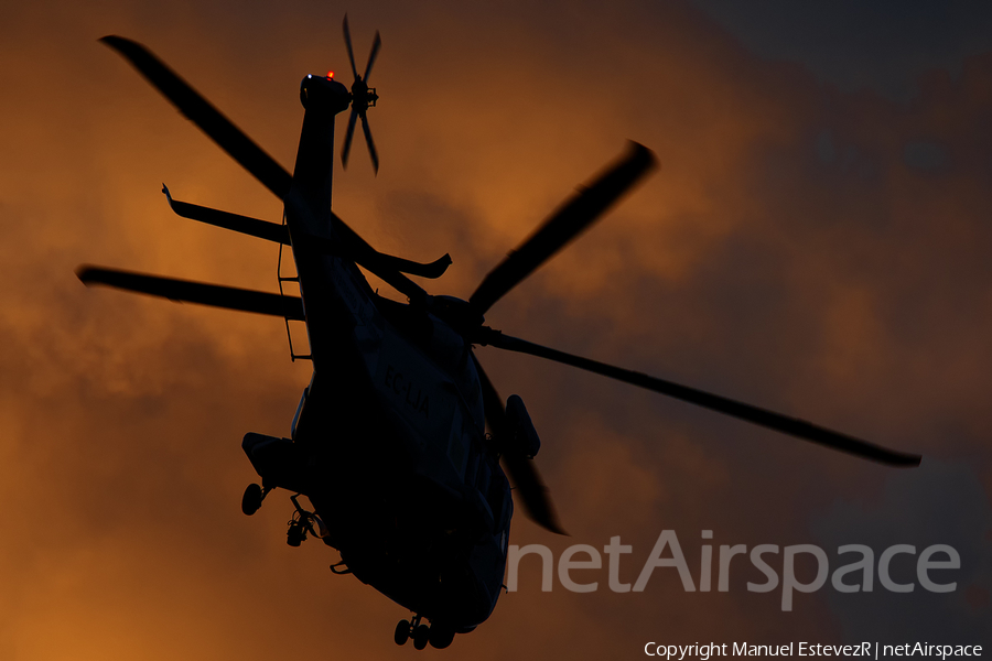 Salvamento Maritimo AgustaWestland AW139 (EC-LJA) | Photo 223364