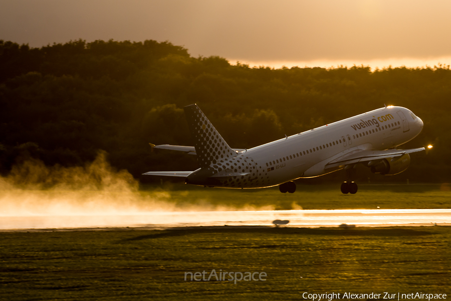 Vueling Airbus A320-214 (EC-LLJ) | Photo 178769