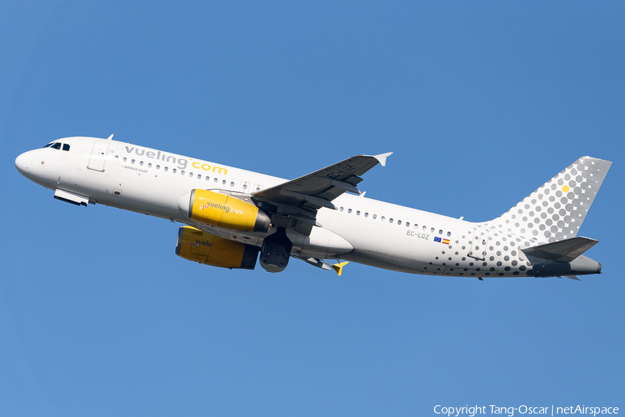 Vueling Airbus A320-232 (EC-LQZ) | Photo 480865