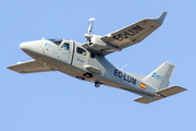 Aerum Aviation Tecnam P2006T MRI (EC-LUM) at  El Berriel, Spain