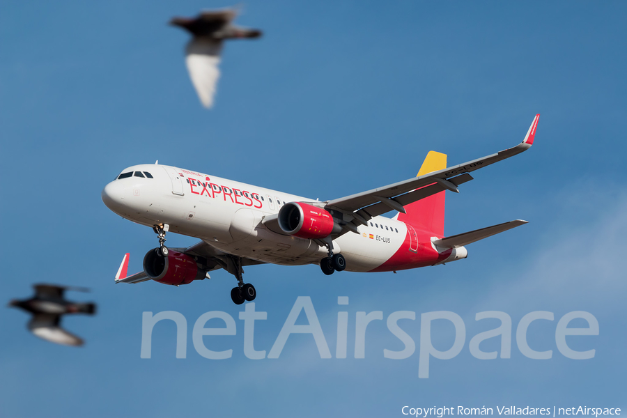 Iberia Express Airbus A320-216 (EC-LUS) | Photo 450061