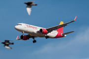 Iberia Express Airbus A320-216 (EC-LUS) at  Gran Canaria, Spain