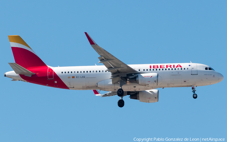 Iberia Airbus A320-216 (EC-LXQ) | Photo 339272