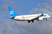 Air Europa Boeing 737-85P (EC-LYR) at  Tenerife Norte - Los Rodeos, Spain