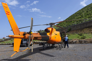 Helitrans Pyrinees Eurocopter AS350B3e Ecureuil (EC-LZY) at  Tenerife - La Higuerita, Spain