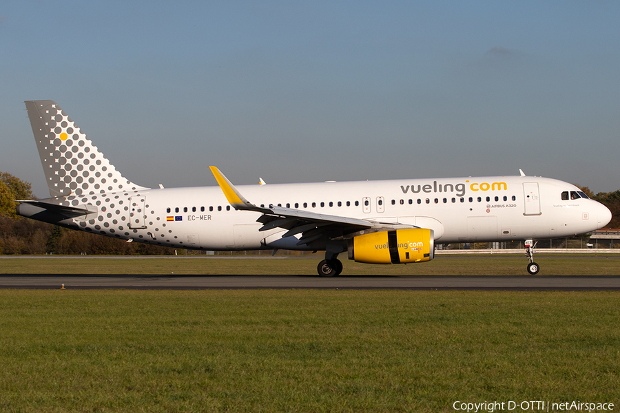 Vueling Airbus A320-232 (EC-MER) | Photo 274929