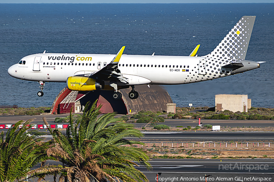 Vueling Airbus A320-232 (EC-MER) | Photo 617535