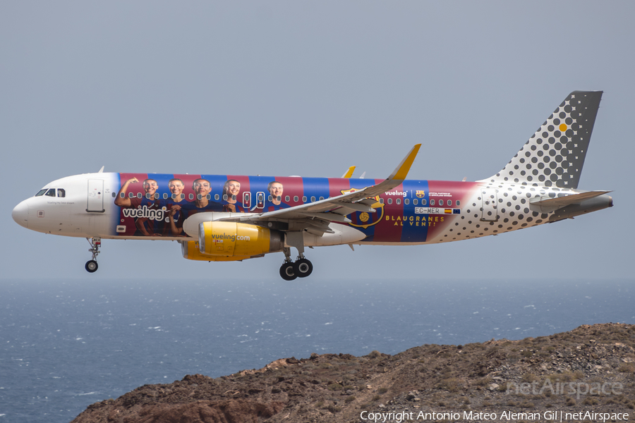 Vueling Airbus A320-232 (EC-MER) | Photo 637766