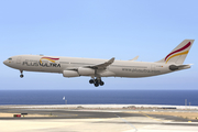 Plus Ultra Airbus A340-313 (EC-MFB) at  Tenerife Sur - Reina Sofia, Spain