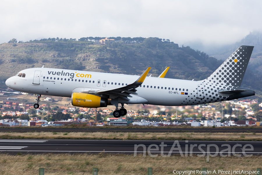 Vueling Airbus A320-232 (EC-MFL) | Photo 456855