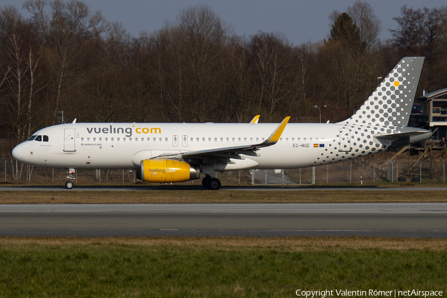 Vueling Airbus A320-232 (EC-MGE) | Photo 499842