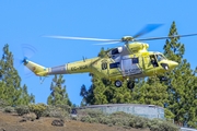 Heliseco PZL-Swidnik W-3A Sokol (EC-MGR) at  El Berriel, Spain