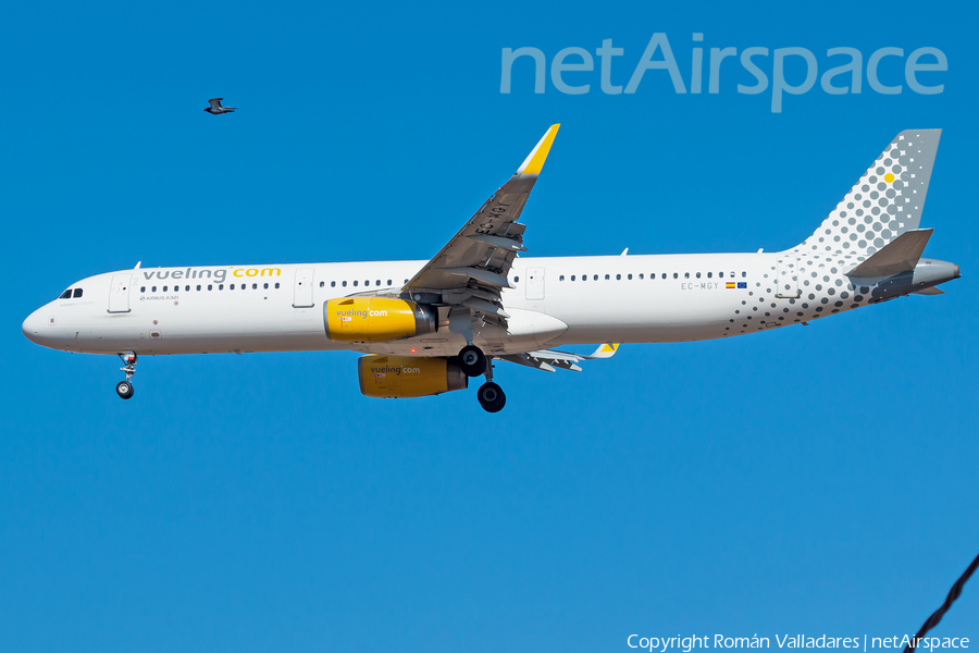 Vueling Airbus A321-231 (EC-MGY) | Photo 464418