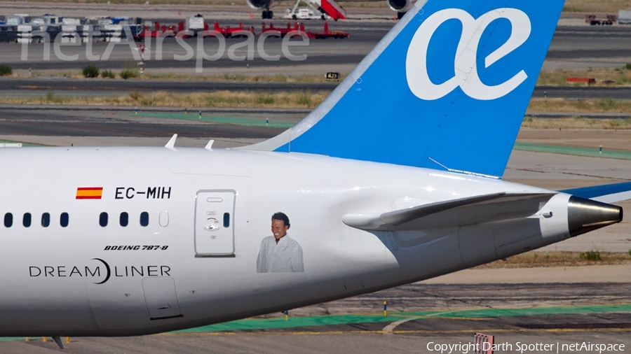 Air Europa Boeing 787-8 Dreamliner (EC-MIH) | Photo 180400