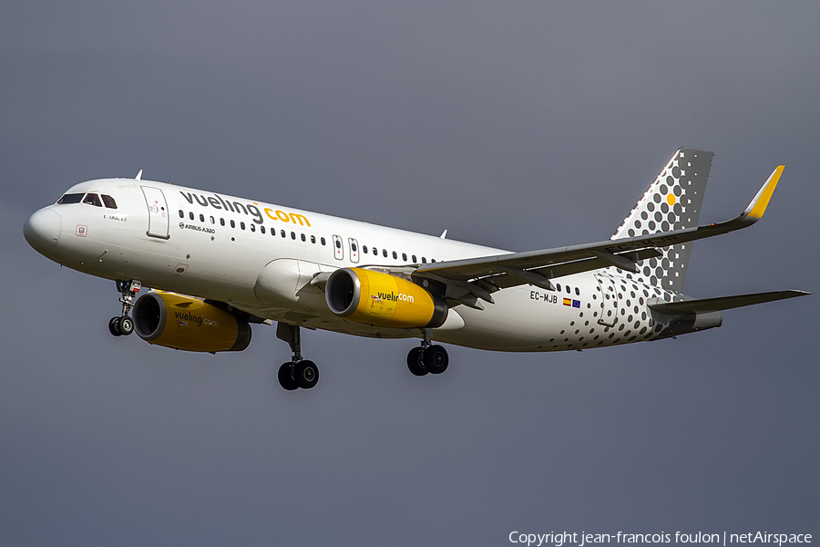 Vueling Airbus A320-232 (EC-MJB) | Photo 149502