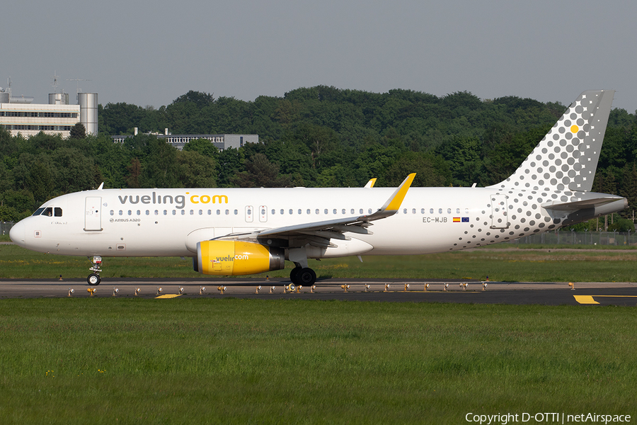 Vueling Airbus A320-232 (EC-MJB) | Photo 243613