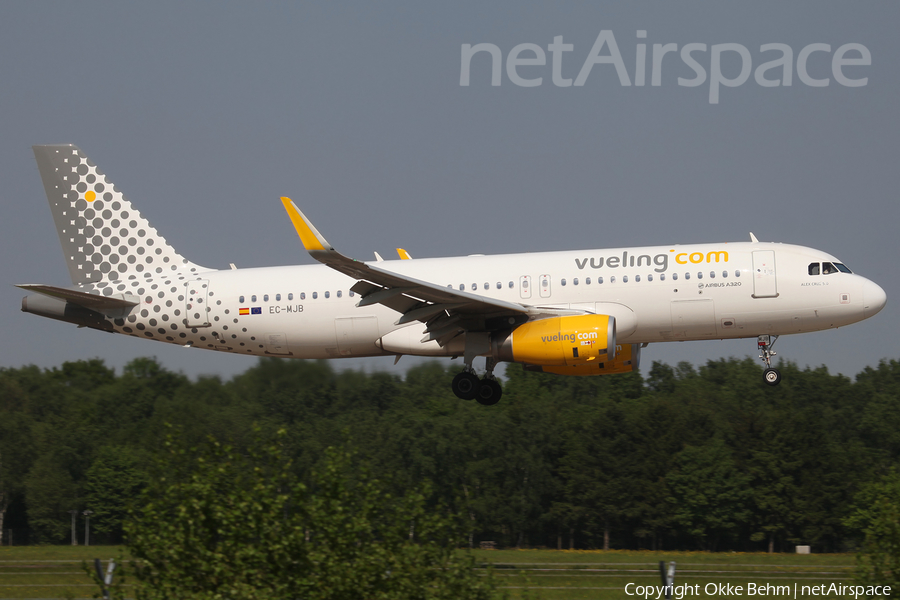 Vueling Airbus A320-232 (EC-MJB) | Photo 243727