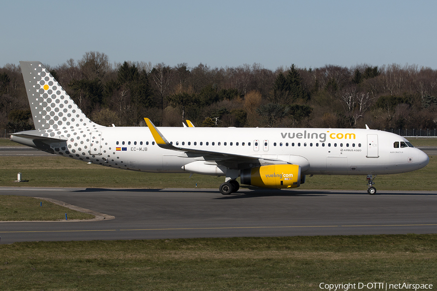 Vueling Airbus A320-232 (EC-MJB) | Photo 539364