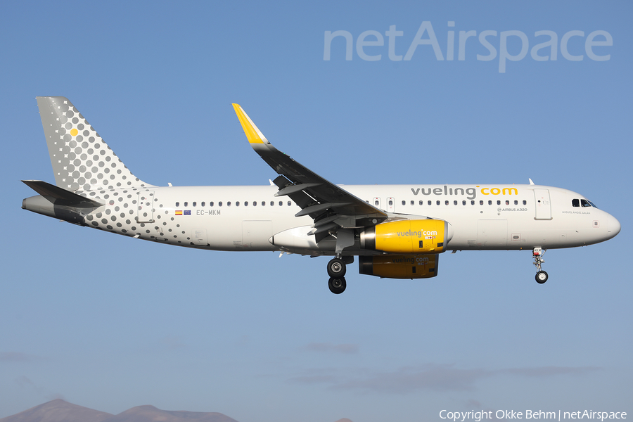 Vueling Airbus A320-232 (EC-MKM) | Photo 364178