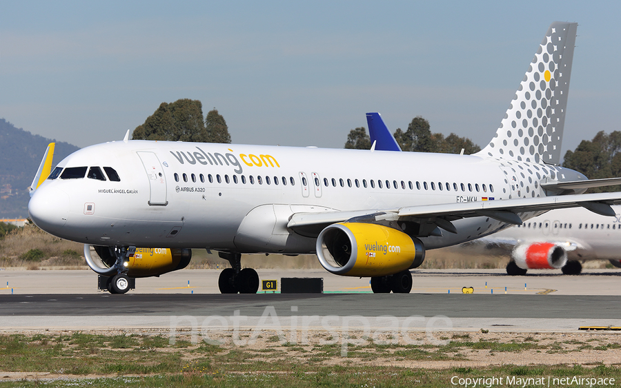 Vueling Airbus A320-232 (EC-MKM) | Photo 260219