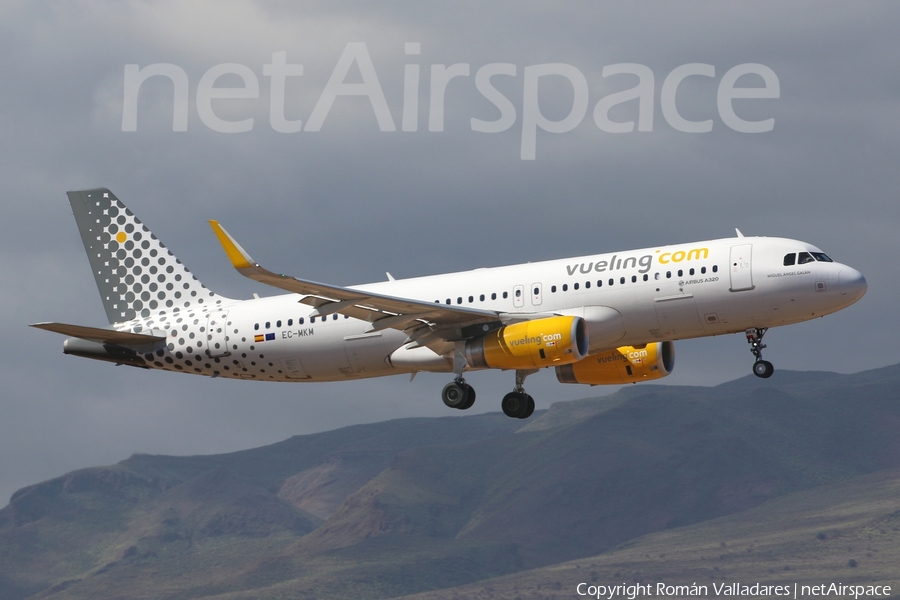 Vueling Airbus A320-232 (EC-MKM) | Photo 337651