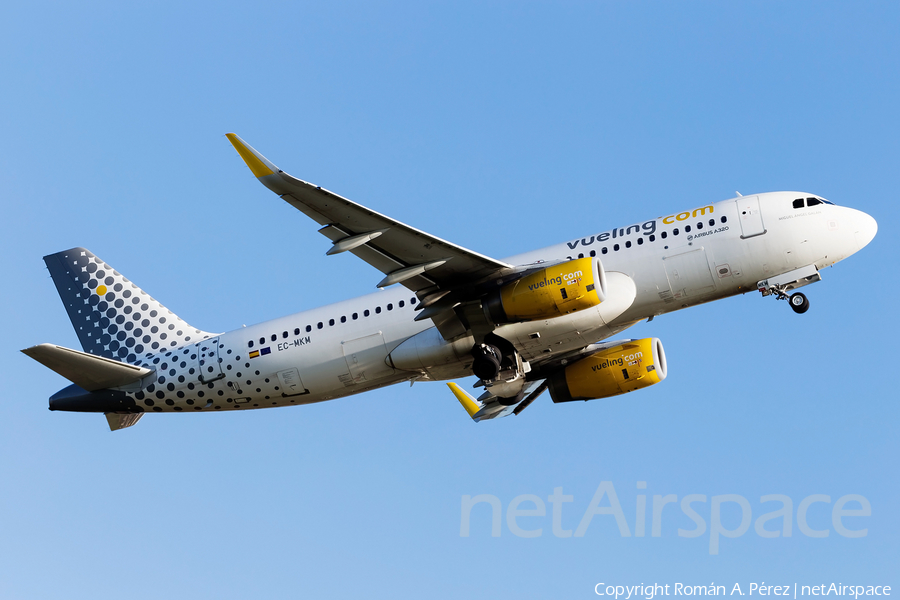 Vueling Airbus A320-232 (EC-MKM) | Photo 293350