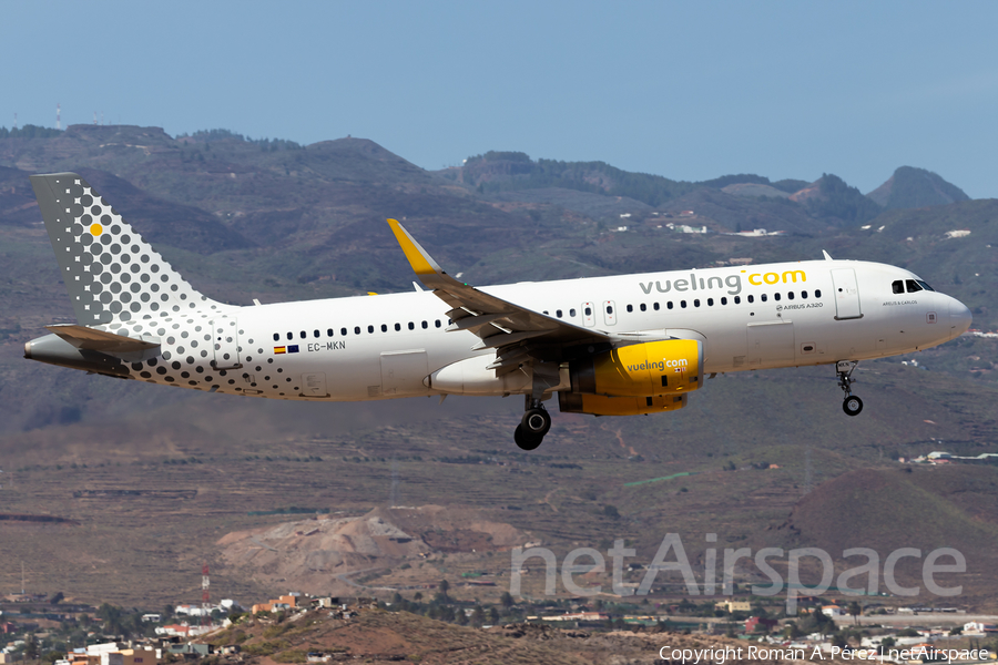 Vueling Airbus A320-232 (EC-MKN) | Photo 413912