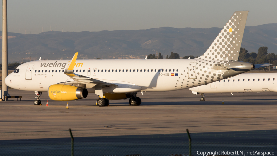 Vueling Airbus A320-232 (EC-MKN) | Photo 593472