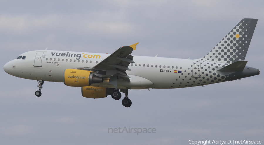 Vueling Airbus A319-112 (EC-MKV) | Photo 365183