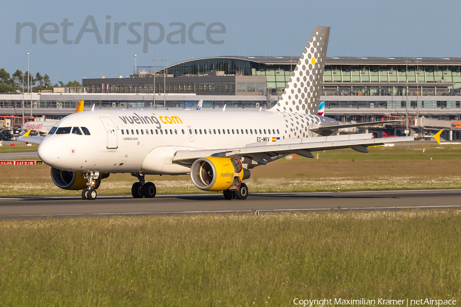 Vueling Airbus A319-112 (EC-MKV) | Photo 521879