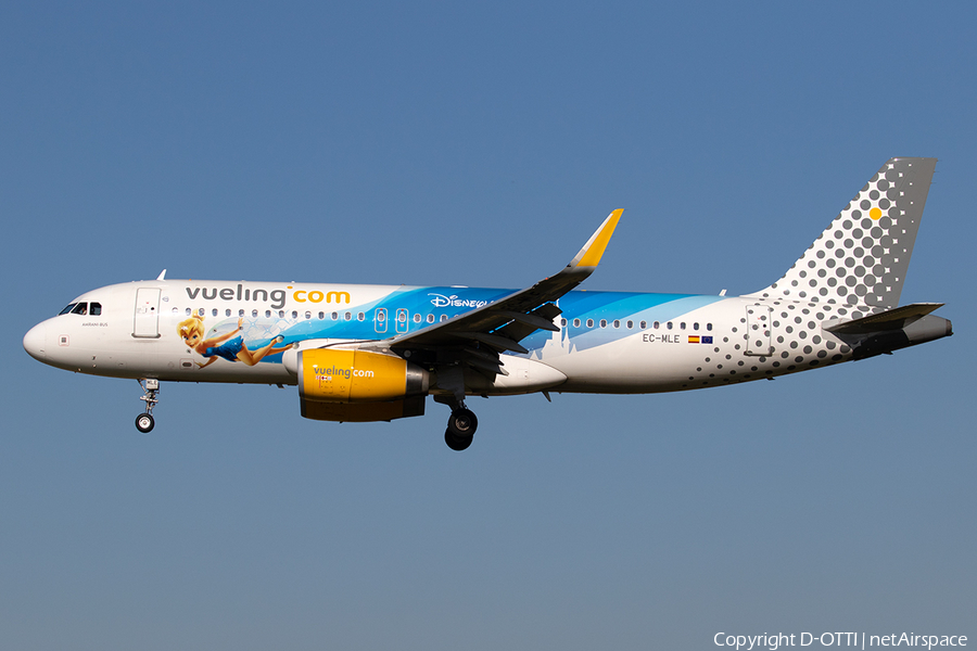 Vueling Airbus A320-232 (EC-MLE) | Photo 293134