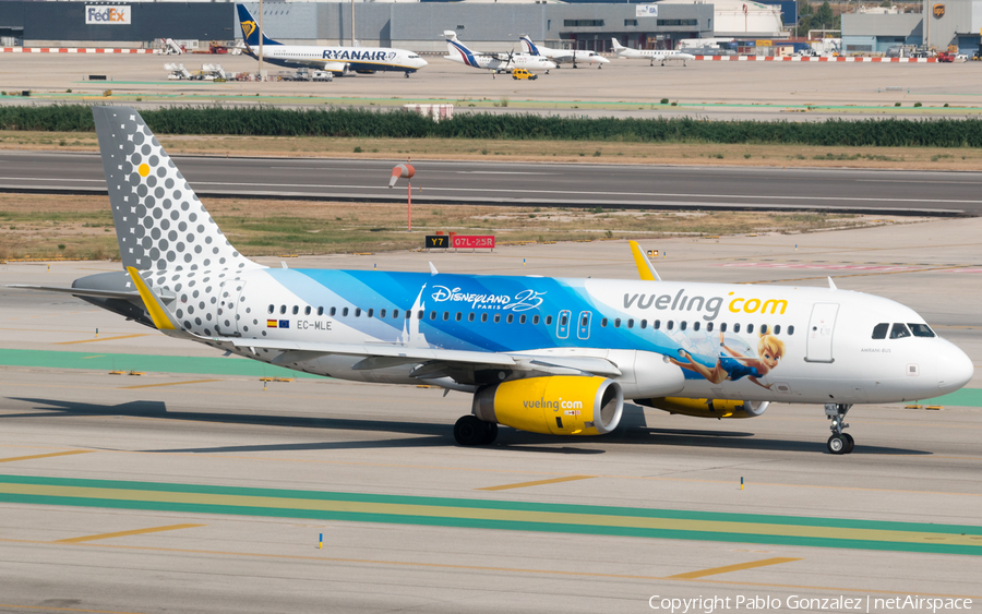 Vueling Airbus A320-232 (EC-MLE) | Photo 334209