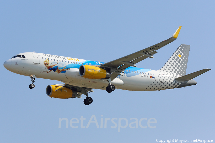 Vueling Airbus A320-232 (EC-MLE) | Photo 409678