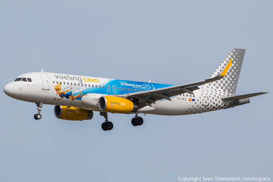 Vueling Airbus A320-232 (EC-MLE) | Photo 245775