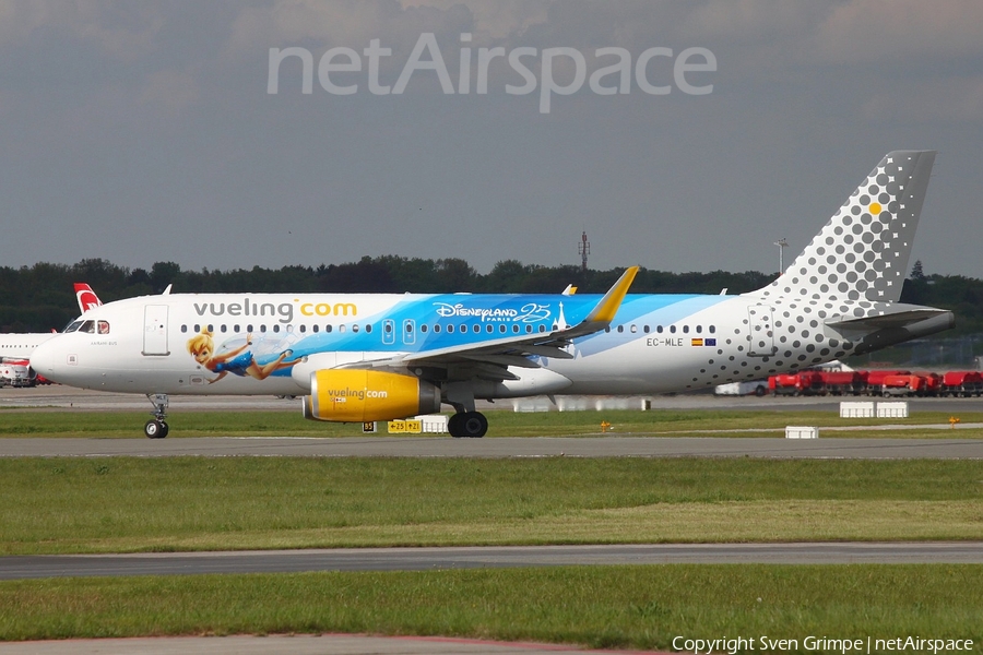 Vueling Airbus A320-232 (EC-MLE) | Photo 162673