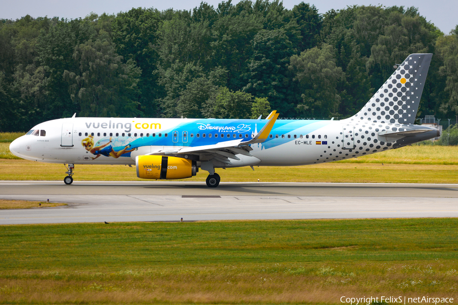 Vueling Airbus A320-232 (EC-MLE) | Photo 539491