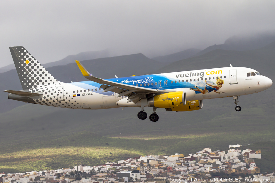 Vueling Airbus A320-232 (EC-MLE) | Photo 219433