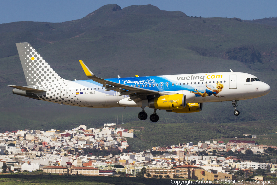 Vueling Airbus A320-232 (EC-MLE) | Photo 221504