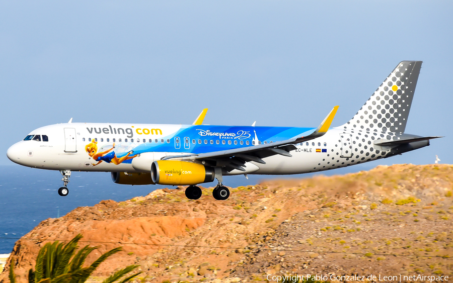 Vueling Airbus A320-232 (EC-MLE) | Photo 341896