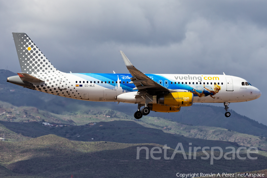 Vueling Airbus A320-232 (EC-MLE) | Photo 366625