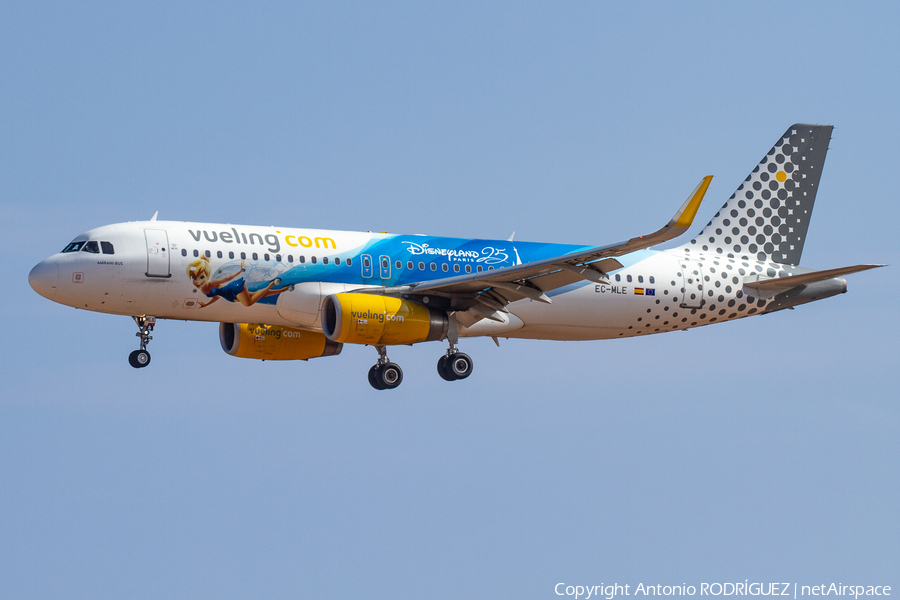 Vueling Airbus A320-232 (EC-MLE) | Photo 478817