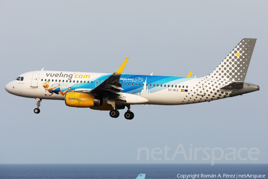 Vueling Airbus A320-232 (EC-MLE) | Photo 535708