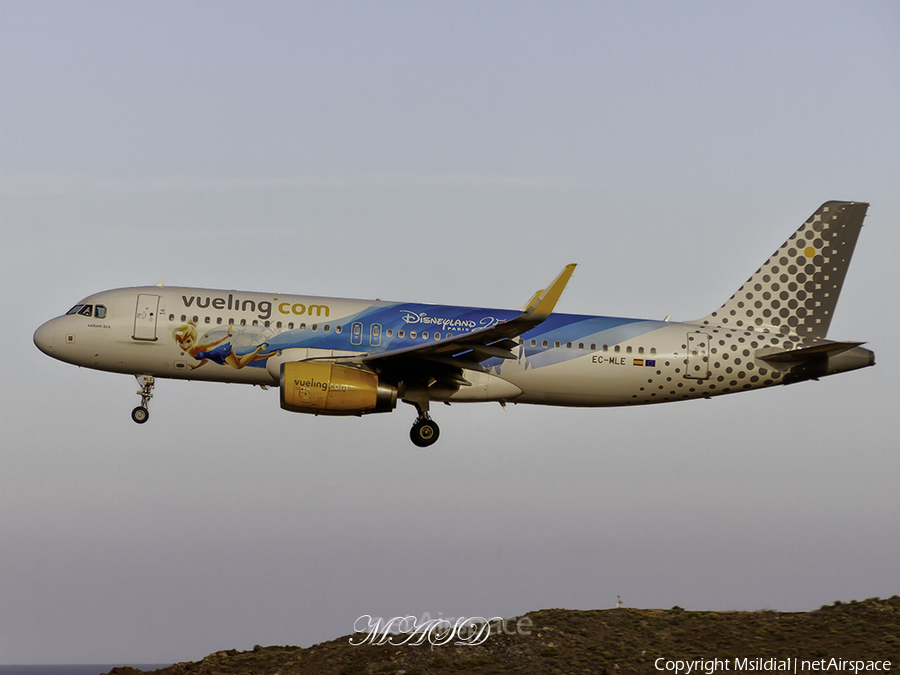 Vueling Airbus A320-232 (EC-MLE) | Photo 566666