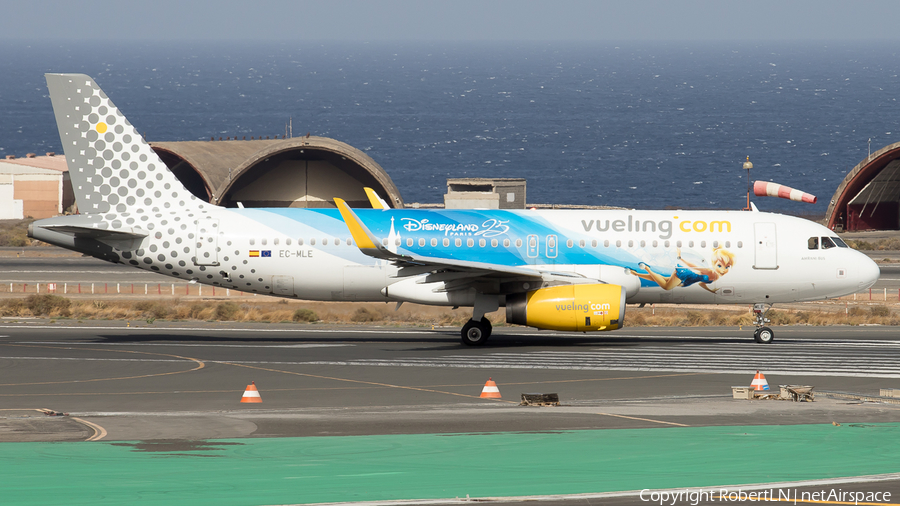 Vueling Airbus A320-232 (EC-MLE) | Photo 592878